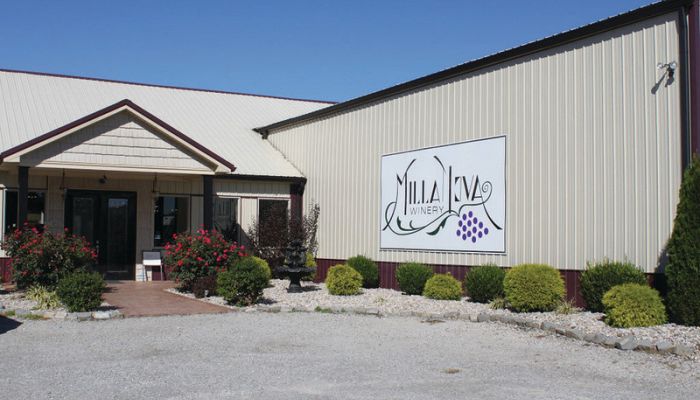 
		 
		
			
				MillaNova Winery
			
		
		
	